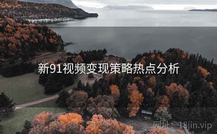 新91视频变现策略热点分析