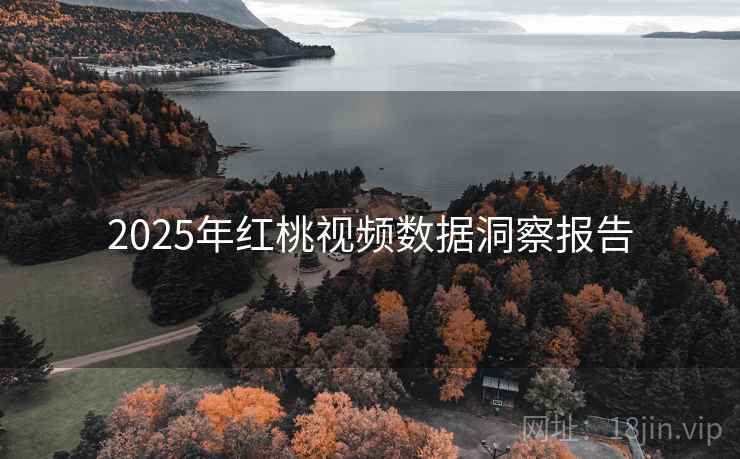 2025年红桃视频数据洞察报告