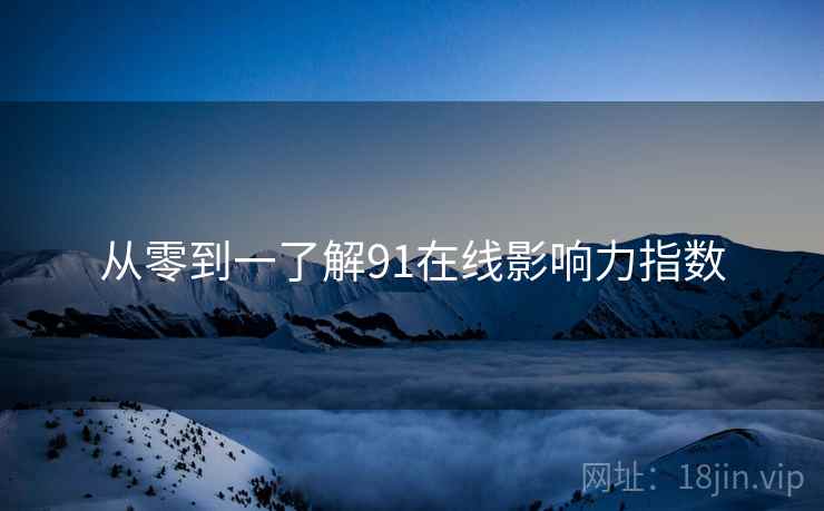从零到一了解91在线影响力指数