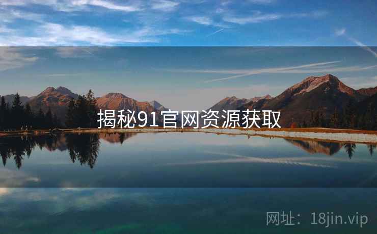 揭秘91官网资源获取