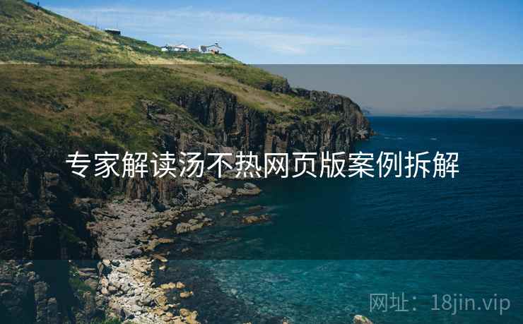 专家解读汤不热网页版案例拆解