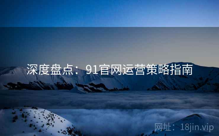 深度盘点：91官网运营策略指南