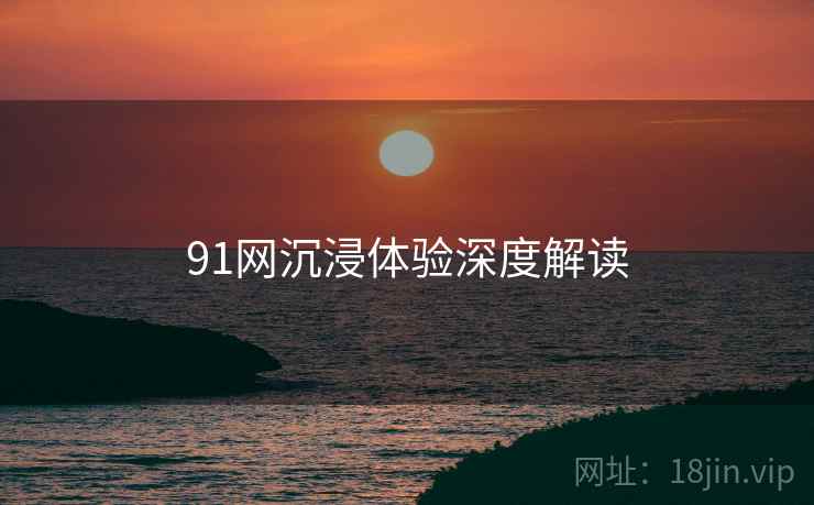 91网沉浸体验深度解读