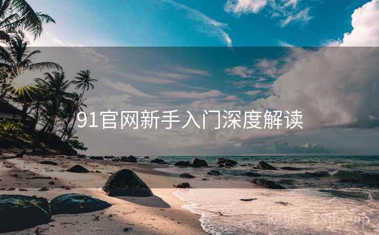 91官网新手入门深度解读