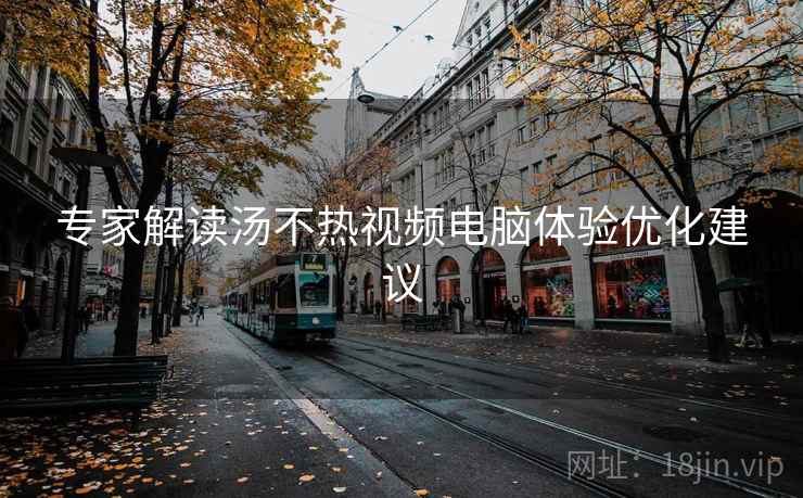 专家解读汤不热视频电脑体验优化建议